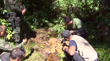 Conheça os bastidores do programa Preservação Ambiental
