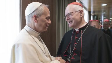 Papa Leão XIV recebe Dom Odilo Pedro Scherer no Palácio Apostólico