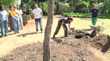 Escola de jardinagem completa 50 anos de cuidados com a natureza