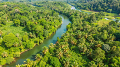 Não haverá paz no mundo se não houver paz com a natureza, diz padre