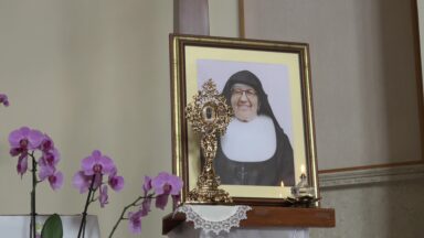 Papa Leão XIV celebra canonização de sete beatos no domingo