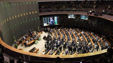 Deputados se articulam para oficializar Dia Nacional do Nascituro