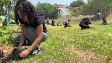 Atividade ambiental no interior paulista reforça preservação da vida