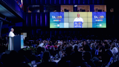 Papa: a fome é uma ruína, um grito que exige resposta rápida de todos