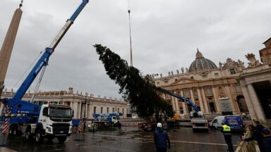 Vaticano divulga doadores do presépio e árvore de Natal da Praça São Pedro