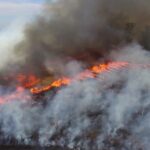 Manejo Integrado do Fogo é compromisso coletivo da COP30