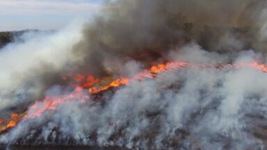 Manejo Integrado do Fogo é compromisso coletivo da COP30