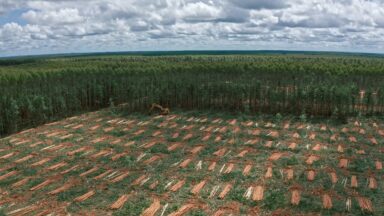 Brasil deseja criação de fundo de financiamento para manter as florestas