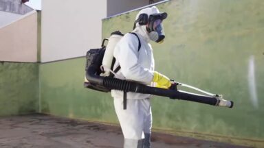 Governo projeta quase 2 milhões de novos casos de dengue em 2026