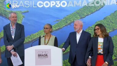 Florestas tropicais ganham apoio financeiro ampliado na Cúpula do Clima