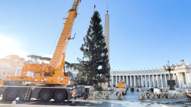 Vaticano coloca árvore de Natal na Praça São Pedro