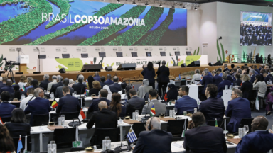 Papa à COP 30: “Se vocês querem cultivar a paz, cuidem da Criação”