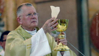 Cardeal Spengler pede conversão interior diante da crise climática