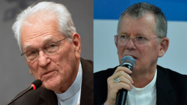 A ecologia integral faz parte do caminho da fé, lembra Dom Steiner