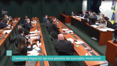 Cultivo da maconha para fins medicinais volta a gerar debate na Câmara