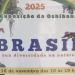 Tradição milenar japonesa ganha vida na 19ª Exposição de Oshibana