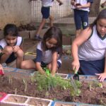 Projeto Composta Pinda vira referência nacional em compostagem urbana