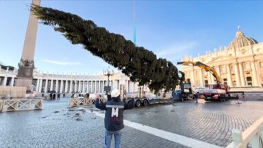 Vaticano se prepara com a montagem dos tradicionais símbolos Natalinos