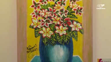 Alunos com deficiência visual mostram criatividade em exposição em SE