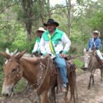 Cavaleiros percorrem quilômetros de estrada movidos pela fé