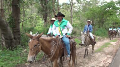 Cavaleiros percorrem quilômetros de estrada movidos pela fé