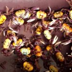 Em Sergipe, Orla da Atalaia recebe Festival do Caranguejo