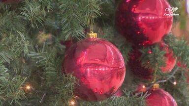 Experiências musicais despertam emoções e preparam fiéis para o Natal