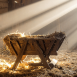 Aprendamos com o Natal de Jesus o estilo da humildade, pede Papa