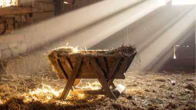 Aprendamos com o Natal de Jesus o estilo da humildade, pede Papa