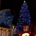 Árvore de Natal e presépio são inaugurados na Praça São Pedro