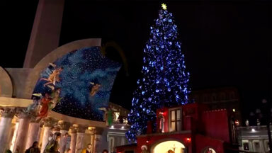 Árvore de Natal e presépio são inaugurados na Praça São Pedro