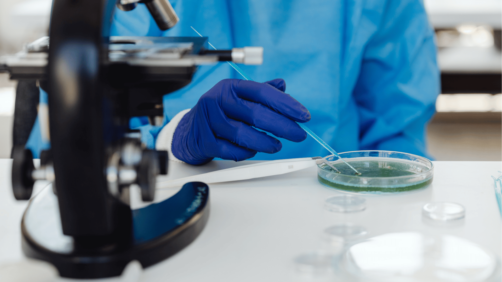 A imagem mostra uma pessoa com luvas em um ambiente de laboratório com microscópio analisando uma mostra