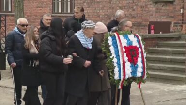 Em mensagem, Papa condena todas as formas de antissemitismo