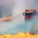 Três desaparecidos após incêndios florestais no sudeste da Austrália