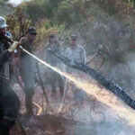 Argentina declara estado de emergência após incêndios na Patagônia