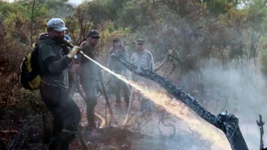 Argentina declara estado de emergência após incêndios na Patagônia