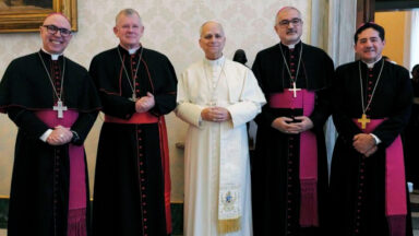 Presidência da CNBB é recebida pelo Papa Leão XIV