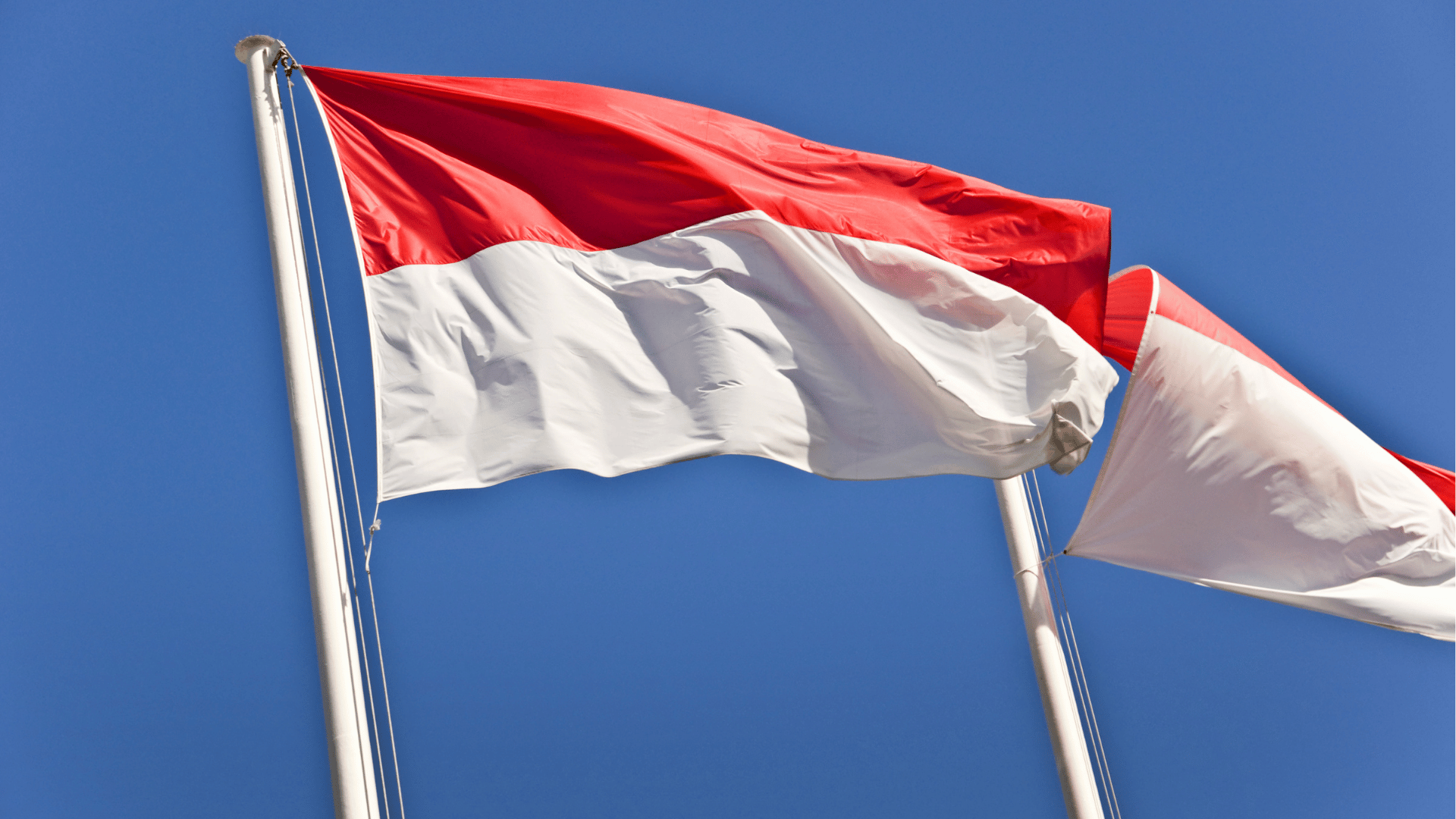 a bandeira de Mônaco, em vermelho e branco