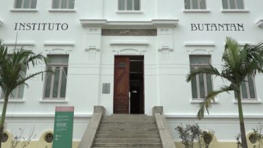 Instituto Butantan chega aos 125 anos entre soros e vacinas que salvam