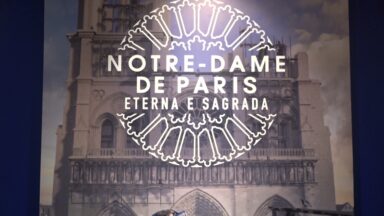 Visitantes conhecem a Catedral de Notre-Dame em exposição virtual
