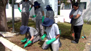 Iniciativa leva pessoas com deficiência a vivenciar trabalho e integração