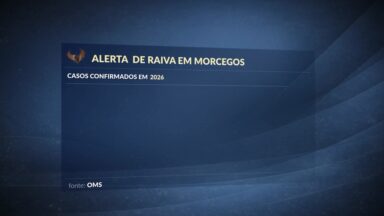 Raiva em morcegos: SP confirma 15 ocorrências e fundação emite alerta