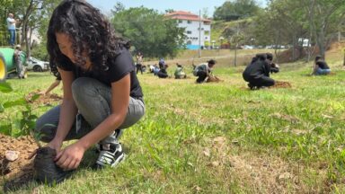 Canção Nova e SOS Mata Atlântica atuam juntas por áreas degradadas