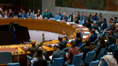 Barriga de aluguel, Santa Sé à ONU: proteger sempre mulheres e crianças