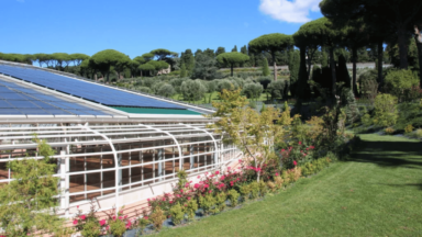 Borgo Laudato si’ receberá lançamento de Aliança Global pela ecologia