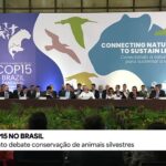 Brasil sedia Conferência Sobre Espécies Migratórias, a COP15