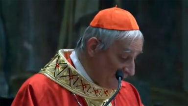 Cardeal Zuppi sobre a Ucrânia: ‘Uma paz imposta pela força é falsa’