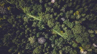 Grupos ambientalistas lançam ‘Aliança Global’ na Vila Laudato si’