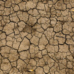 Laudate Deum: há tempo para mudar, afirma frei sobre crise climática