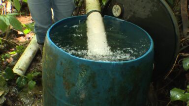 Projeto melhora qualidade da água e aumenta vazão dos rios e bacias